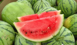 今日吃瓜入口,热点事件背后的真相与笑料